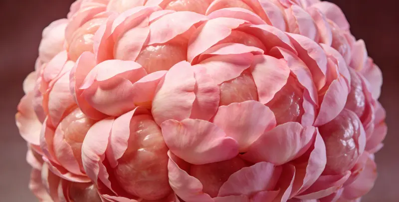 铜川BRCA1/2乳腺癌卵巢癌基因检测图片1